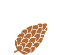 A simple, brown illustration of a pinecone with overlapping scales on a plain light gray background.